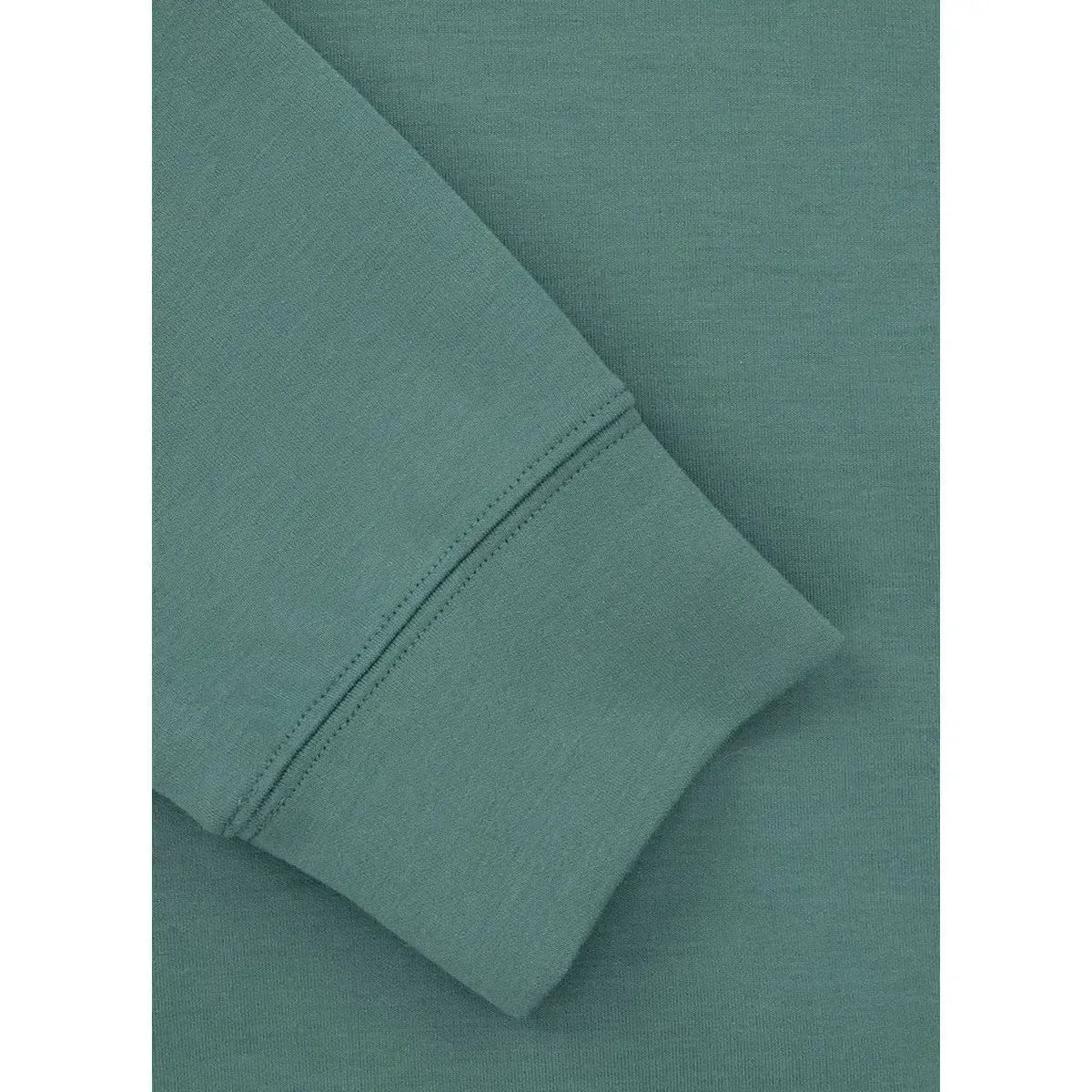 Herren Hoodie Explorer-Hoodie-PIT BULL WEST COAST-Mint-S-Maniac-Sports