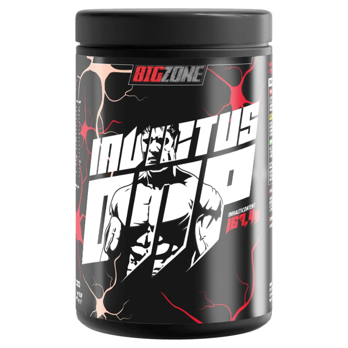 Invictus DNP 30Packs-Mineralstoffe-Big Zone-Maniac-Sports