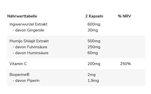 Shilajit PRO 60 Kapseln-Testo Booster-GN Labaratories-Maniac-Sports