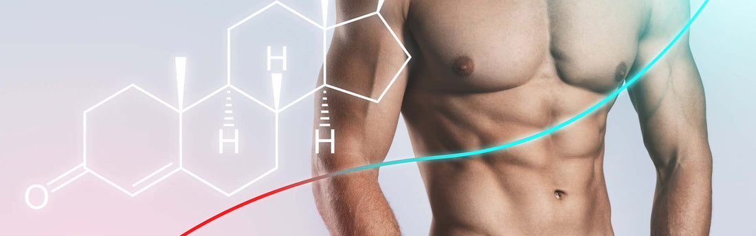 Lexikon-Aminosäuren Aufbau verstehen: Struktur, Einteilung und Codes im Überblick-Maniac-Sports