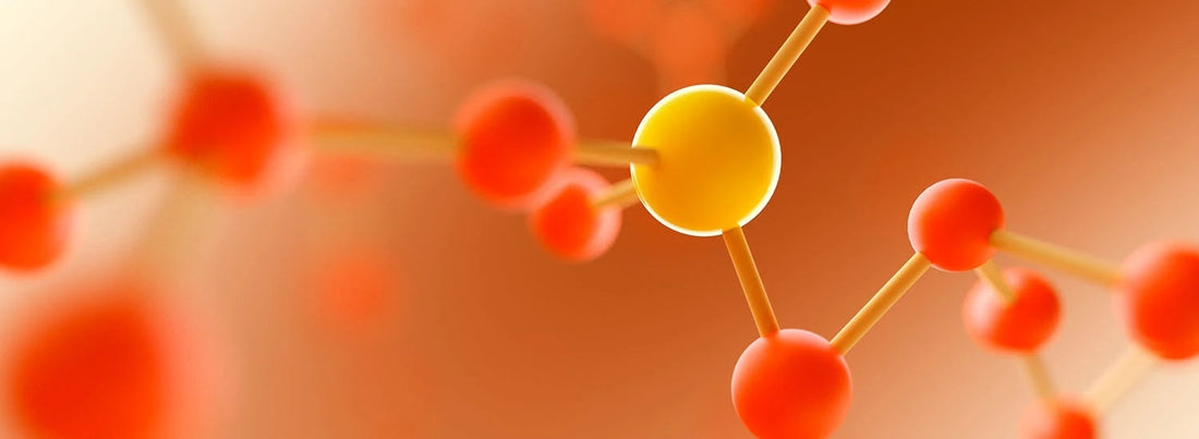 Lexikon-Aminosäuren erklärt: Bedeutung, Arten und Anwendung für Fitness & Alltag-Maniac-Sports