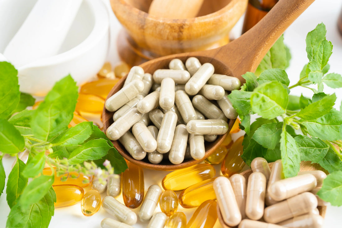 Lexikon-Die besten pflanzlichen Proteinquellen: Vorteile, Tipps und Produktvergleich-Maniac-Sports