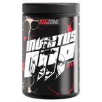 Invictus DNP 30Packs-Mineralstoffe-Big Zone-Maniac-Sports