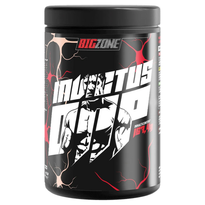 Invictus DNP 30Packs-Mineralstoffe-Big Zone-Maniac-Sports