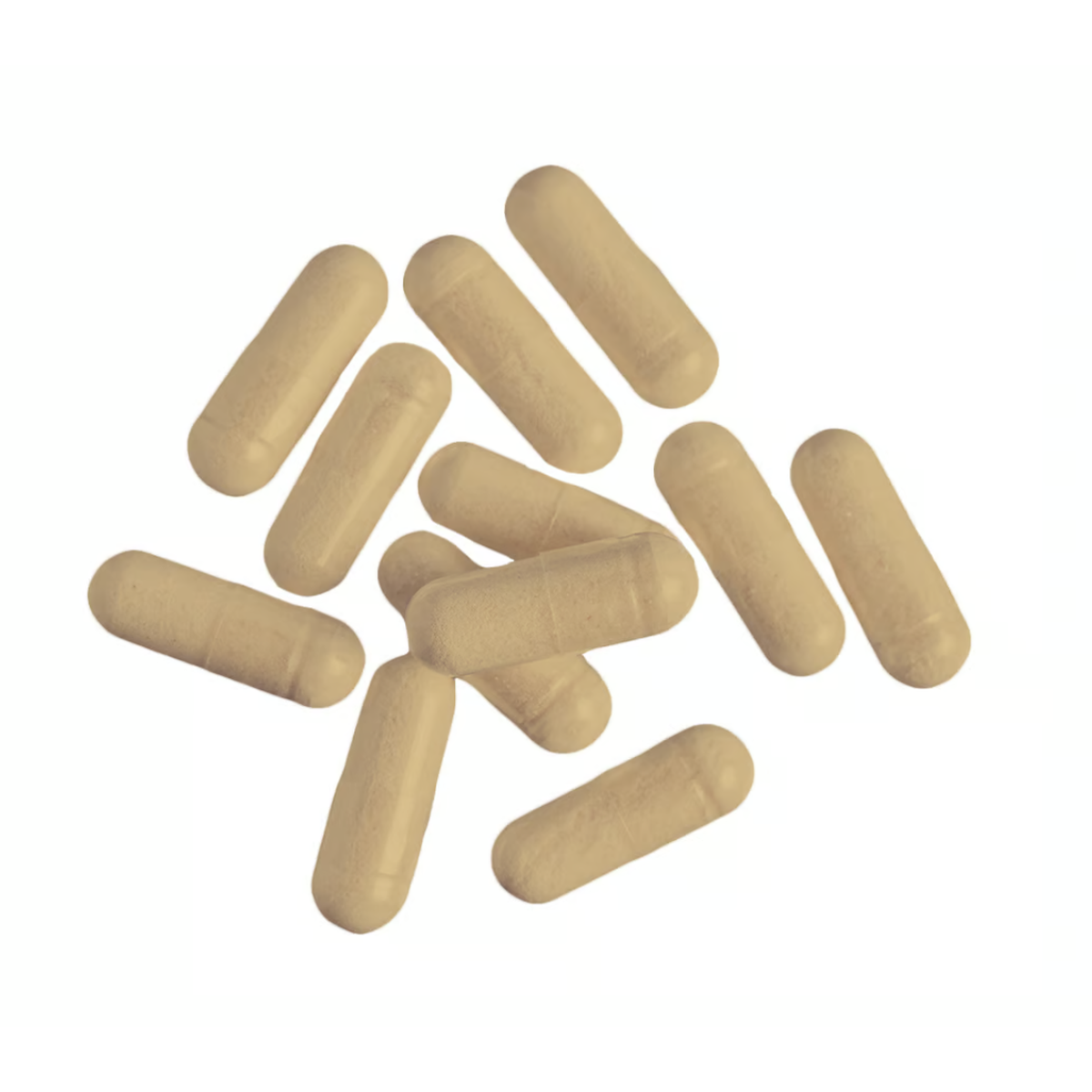 Inosine 100 Kapseln-Maniac-Sports.de